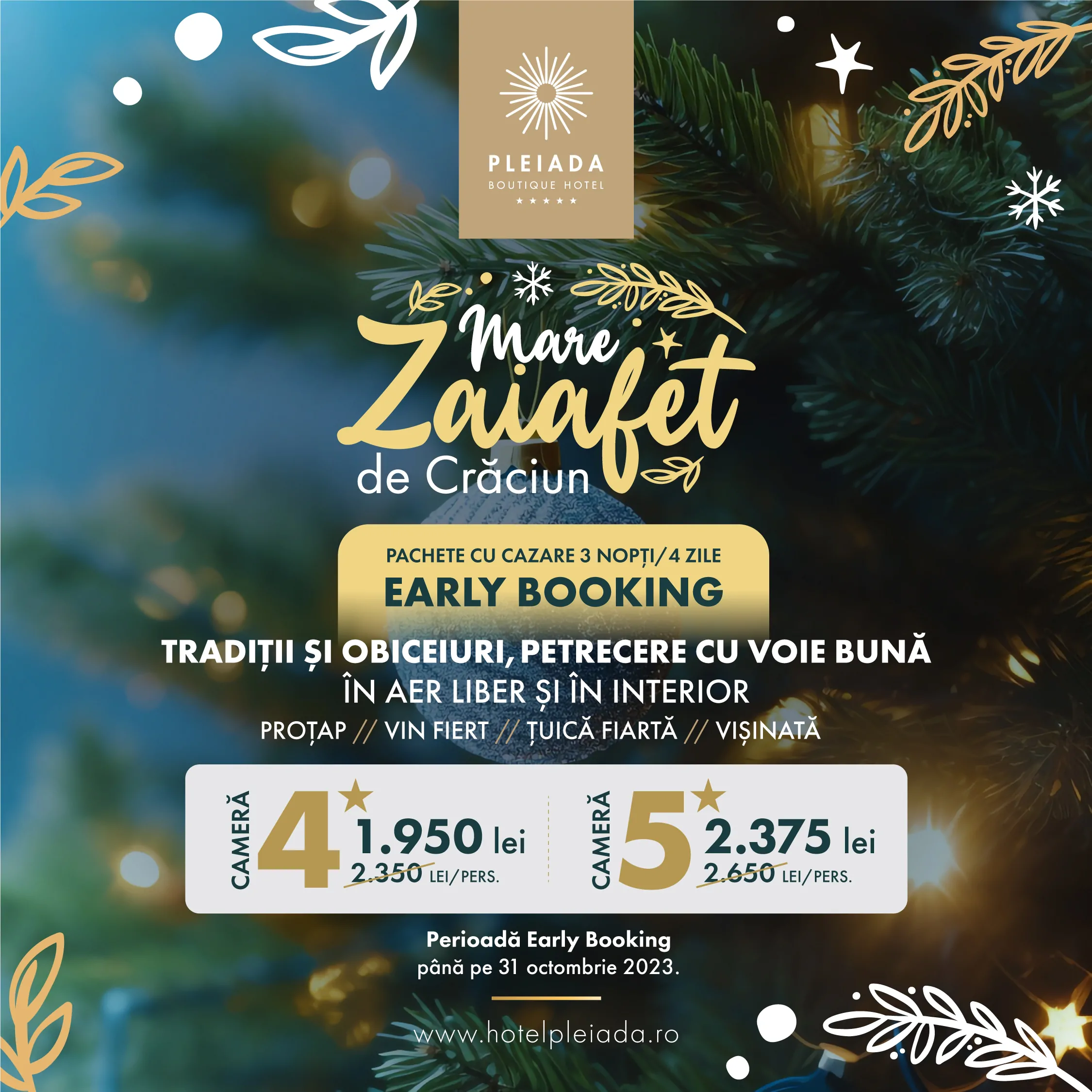 petrecere craciun 2023 pleiada boutique hotel